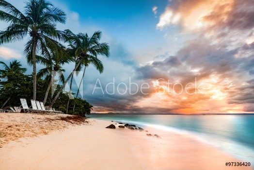 Picture of Exotic long exposure seascape with palm trees at sunset on a public beach in Cayo Levantado Dominican Republic